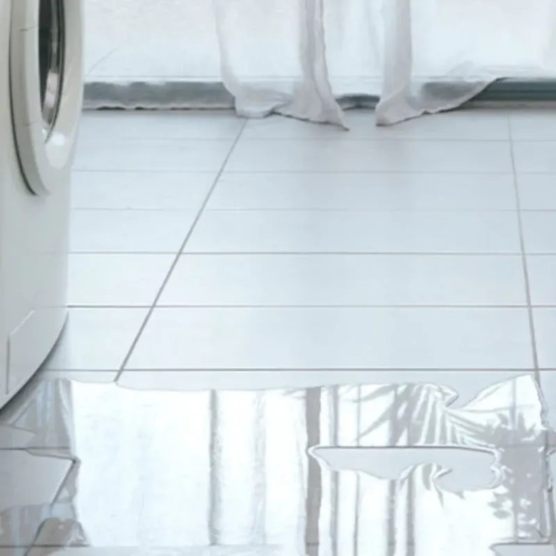 Appliance Leak Cleanup in Miller County, AR