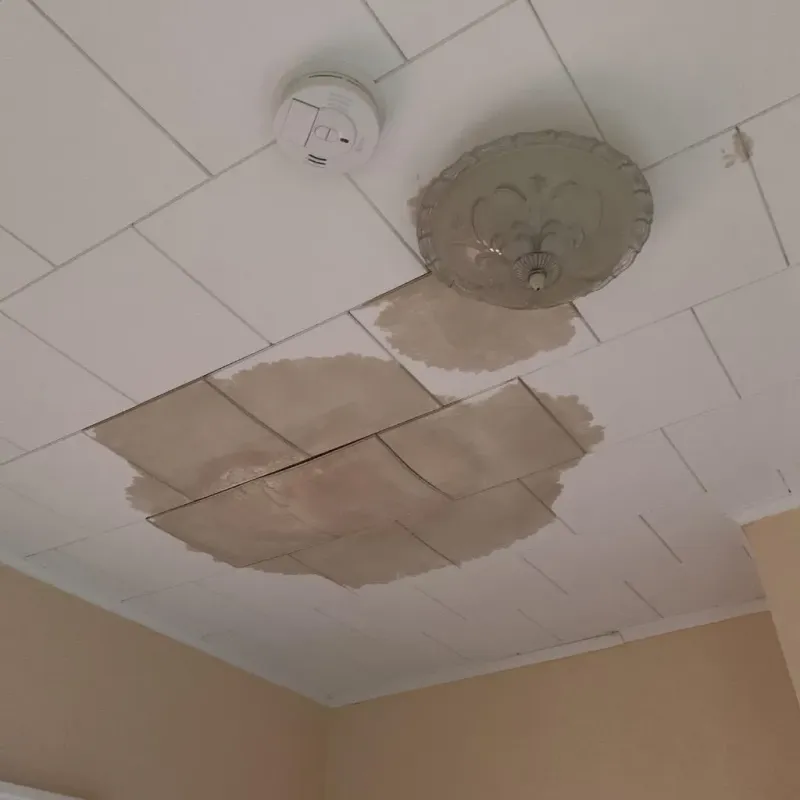 Ceiling Water Damage Repair in Miller County, AR