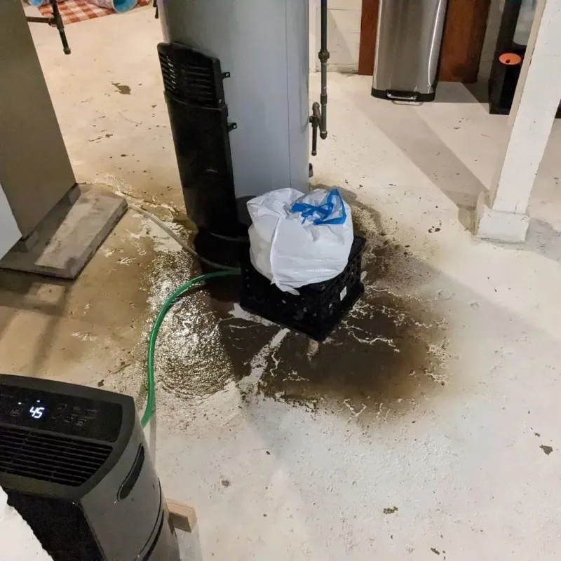 Sewage Backup Cleanup Service in Miller County, AR